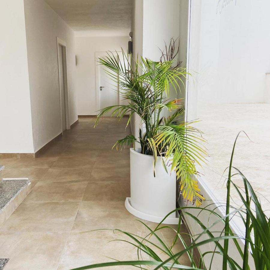 Hostal Pitiusa Ibiza stad Exteriör bild